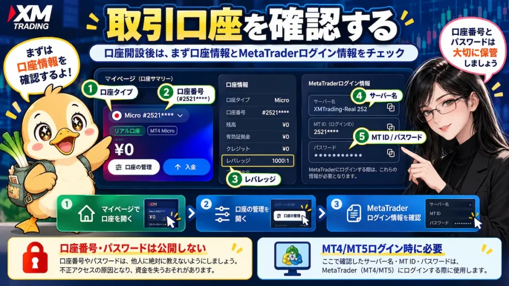 XMTradingの取引口座情報で口座タイプ、MT4またはMT5、レバレッジ、サーバー名、MT IDなどを確認する方法を凛とカモ君が解説している画像